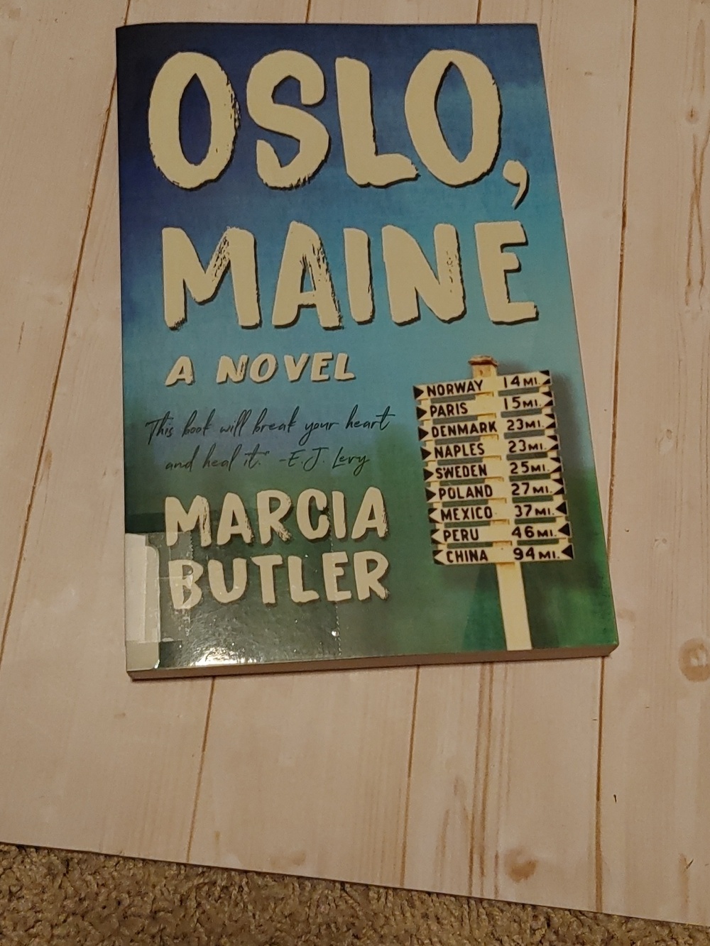 Oslo, Maine Adult Novel Fiction Book By Marcia Butler